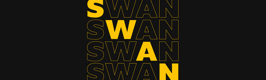 •Swan• cover
